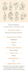 Ravensara Essential Oil - Dreaming Earth Inc