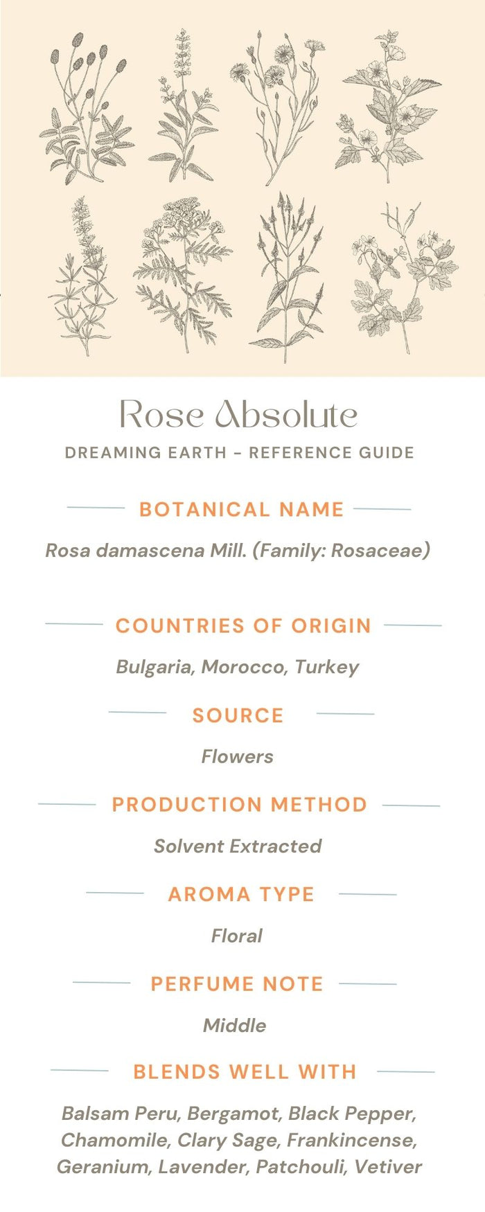 Rose Absolute 5%