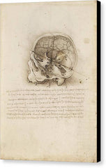 The Cranium Sectioned - Canvas Print