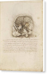 The Cranium Sectioned - Canvas Print