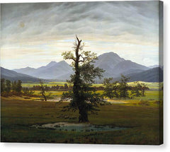 The Lone Tree - Canvas Print