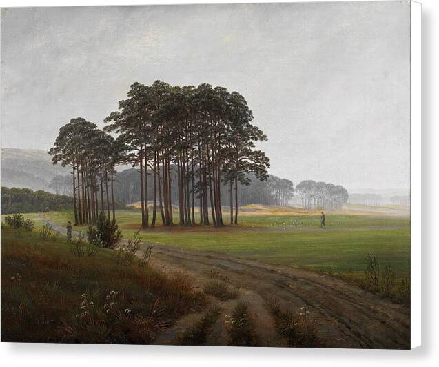 The Midday - Canvas Print