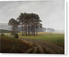 The Midday - Canvas Print