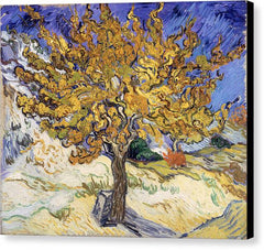 The Mulberry Tree - Canvas Print