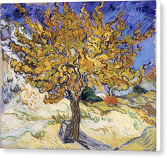 The Mulberry Tree - Canvas Print