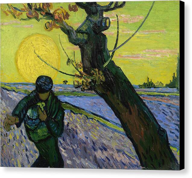 The Sower - Canvas Print
