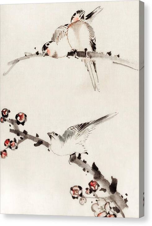 Three Birds Perched on Branches - Canvas Print
