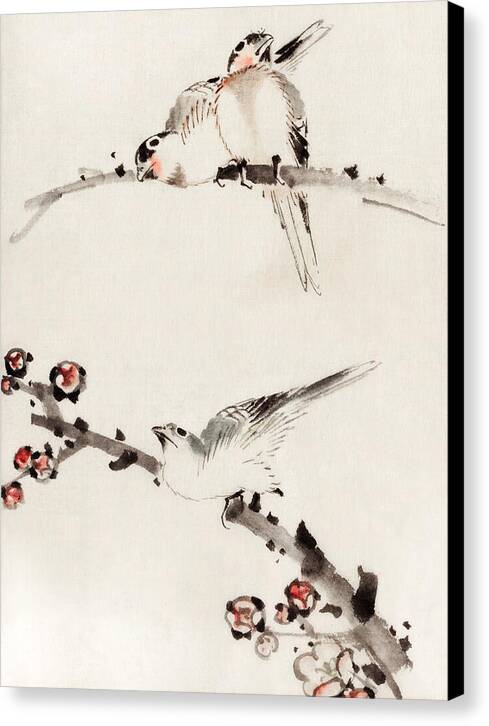 Three Birds Perched on Branches - Canvas Print