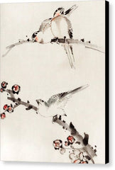 Three Birds Perched on Branches - Canvas Print