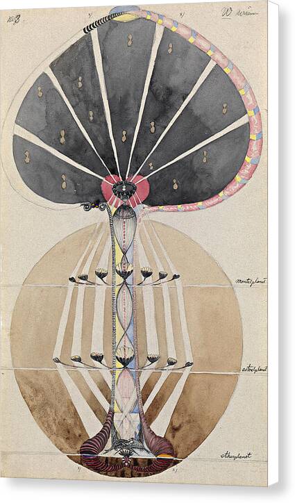 Tree of Knowledge, No. 3 - Canvas Print
