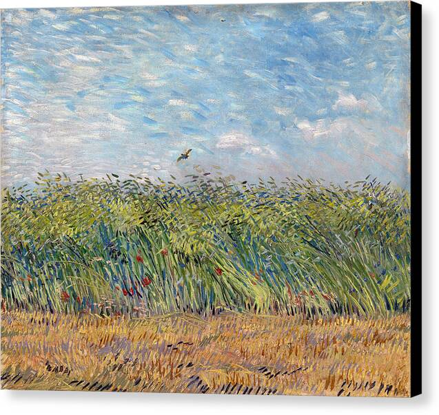 Wheat Field with a Lark - Canvas Print