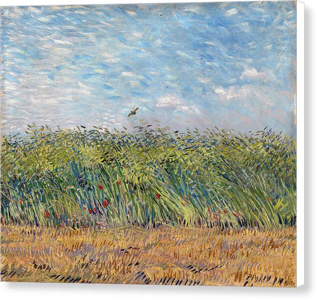 Wheat Field with a Lark - Canvas Print