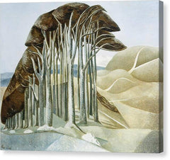Wood on the Downs - Canvas Print