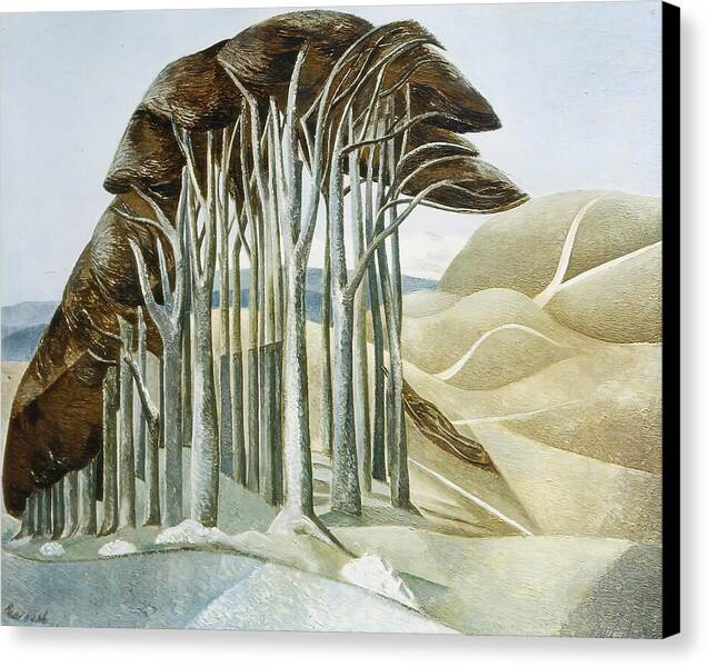 Wood on the Downs - Canvas Print